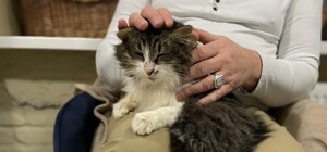 Харьковчан приглашают на акцию 