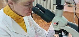 Гельминт длиной 9,5 см: на Харьковщине женщина заболела дирофиляриозом