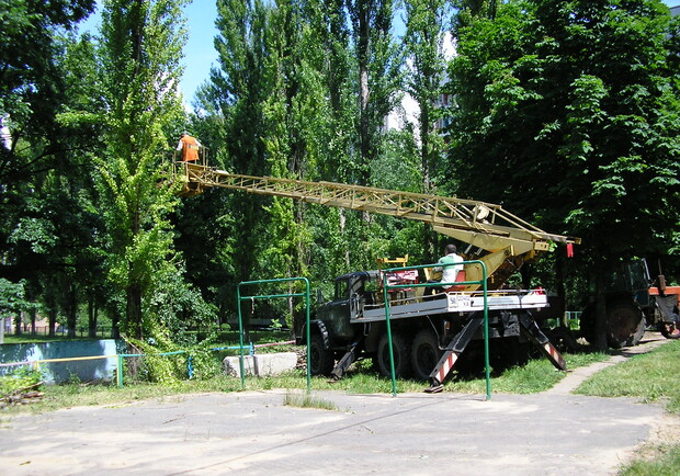 Фото kp.ua. Завтра на улице Шевченко будут обрезать деревья. 
