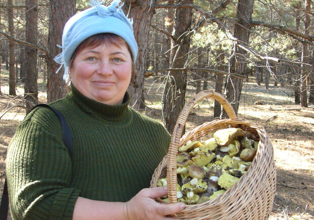 Такой вот урожай можно насобирать в лесах Харьковщины. Фото из архива "КП".