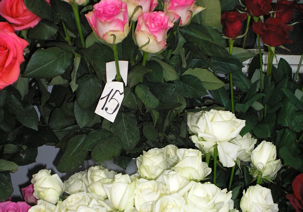 Под видом свежих часто продаются розы двухнедельной давности. Фото автора.