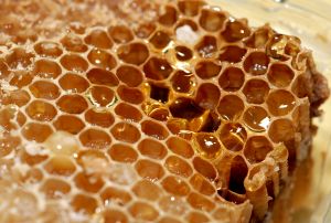Фото www.sxc.hu. В Харькове может появится рынок, где будут продавать только качественный мед. 
