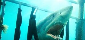 Кинопремьеры недели в Крыму: смеемся под 