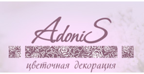 Справочник - 1 - Adonis