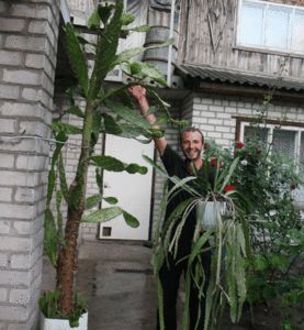 Житель Днепропетровска собрал более 3 тысяч кактусов