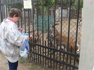 Акция по сбору даров осени проходит в зоопарке каждый год. фото Надежды Шостак.