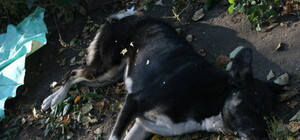 Цитаты недели: 