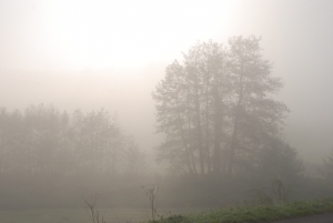 Фото www.sxc.hu. В Харькове будет туман. 
