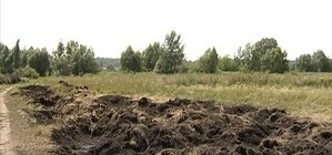 Под Харьковом плодородный чернозем вывозят КамАЗами