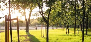 Изучаем стратегию развития Киева-2025. Экология: парки отдадут в частные руки, а завод 