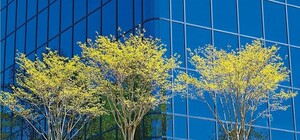 Изучаем стратегию развития Киева-2025. Через десять лет окраины столицы станут центрами