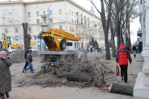 Это связано со сносом аварийных деревьев. Фото с сайта Харьковского горсовета.
