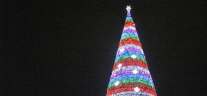 Киевляне жалеют, что активисток Femen оставили в живых в Белоруссии, и считают елку на Майдане самой уродливой в мире