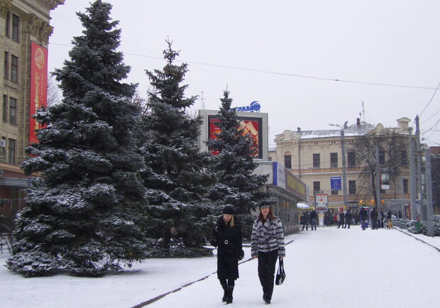 Фото kp.ua. Харьков наконец-то засыпало снегом. 