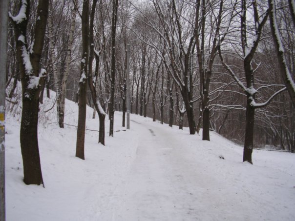 Фото с сайта vk.com. В Харькове немного станет теплее. 