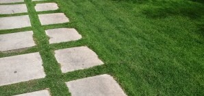 Троещина озеленится: Киевсовет создал сквер на улице Бальзака