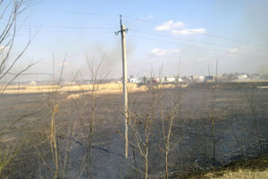 Причина возгорания сейчас устанавливается. Фото пресс-службы ГУ МЧС области.