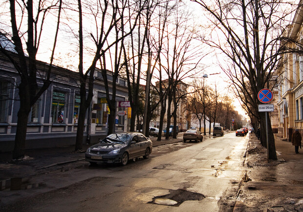 Фото Кирилла Кушнаренко. В Харькове выделено почти 4 миллиона гривен на вырубку деревьев. 