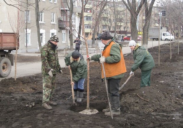 Всего на проспекте Гагарина планируется высадить около 700 деревьев. Фото с сайта Харьковского горсовета.