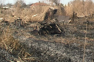 Все пожары возникли из-за занесения открытого источника огня. Фото с сайта ГУ МЧС Украины в Харьковской области.