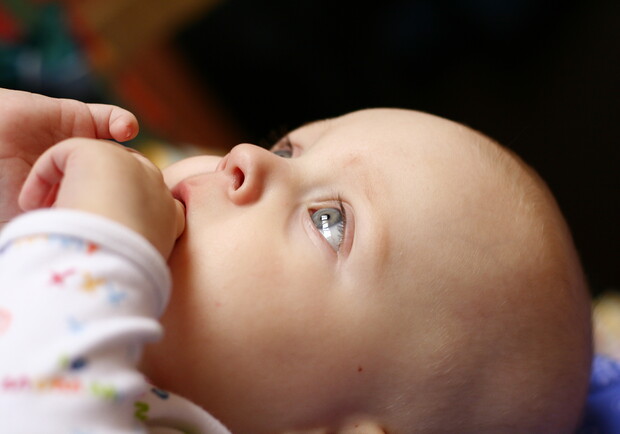 За последние четыре дня в Харькове родилось 159 детей. Фото <a href=http://www.sxc.hu/browse.phtml?f=download&id=1376692>sxc.hu</a>.