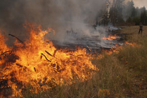 Двуречанский район: сгорело 40 тонн сена. Фото с сайта ГУ МЧС Украины в Харьковской области.