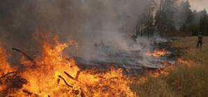 Под Харьковом сгорело 40 тонн сена