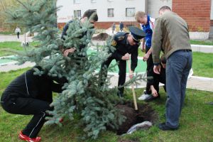 Там высадили около 300 саженцев деревьев и 500 кустов. Фото с сайта Харьковского горсовета.