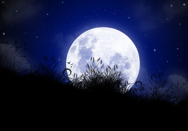 Фото <a href=http://www.sxc.hu/browse.phtml?f=download&id=1335839>www.sxc.hu</a>. Харьковчане могут увидеть яркую луну. 