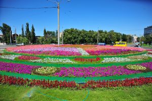 Большинство этих цветов выращено в харьковских теплицах. Фото с сайта Харьковского горсовета. 