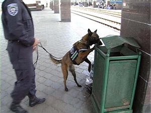 После звонка в «102» подростка Южный вокзал пришлось обыскивать с собаками. Фото пресс-службы Управления МВД Украины на Южной железной дороге.