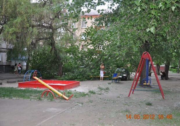 В Харькове упало огромное дерево: повреждены 3 автомобиля. Фото с сайта "АТН".