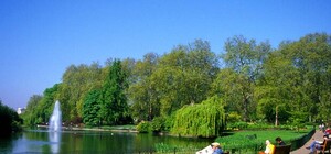 Запорожцы хотят чистые парки, урны и портал в лучшую жизнь