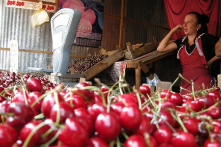 Вся черешня на прилавках города – привозная, отмечают местные фермеры. Фото: i.obozrevatel.ua.