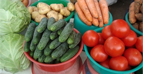 Нтраты могут накапливаться в плодах большинства популярных овощных культур. Фото из архива "КП".