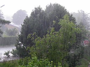 Завтра в городе ожидается дождь. Фото: ru.wikipedia.org.