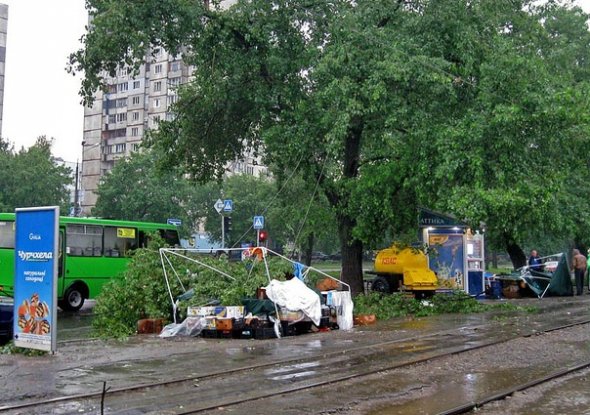 Стихия повалила деревья и парализовала движение транспорта. Фото - rotozeev.net