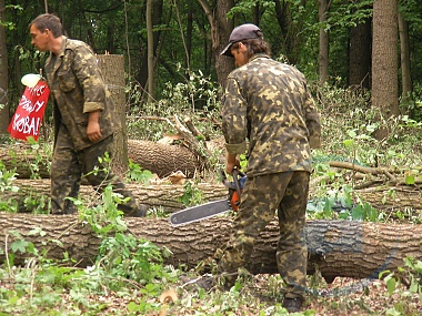 В Харькове срубили почти 300 здоровых деревьев. Фото tsn.ua