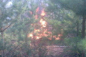 С 14 по 15 июля в области произошло 39 пожаров сухой травы. Фото с сайта ГТУ МЧС Украины в Харьковской области.