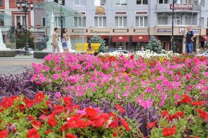 Цветы будут высаживать в парках и скверах. Фото с сайта Харьковского горсовета.