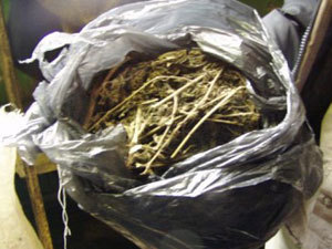 Наркотики направили на экспертизу. Фото с сайта ГУ МВД Украины в Харьковской области.