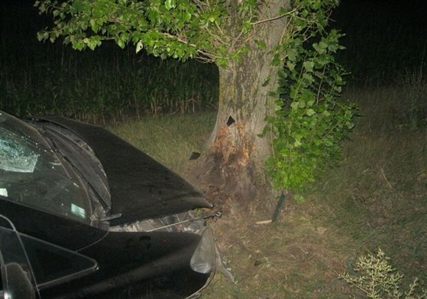 Водитель автомобиля врезался в дерево. Фото с сайта ГАИ ГУМВД Украины в Харьковской области.