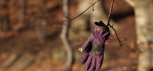 На Харьковщине двухлетняя девочка пропала из дома