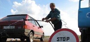 Прокуратура проводит проверку по факту заражения скота сибирской язвой