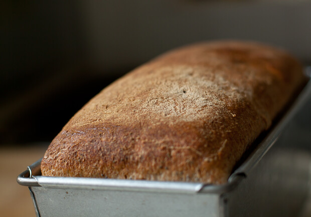 Социальные сорта хлеба не подорожают до конца года. Фото <a href=http://www.sxc.hu/browse.phtml?f=download&id=1357536>sxc.hu</a>.