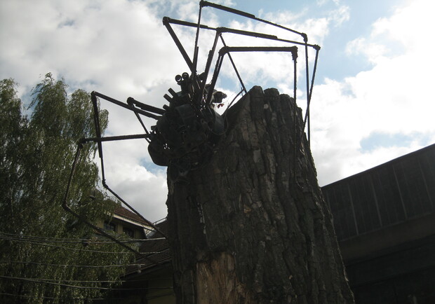 Огромный паук пугает многих харьковчан. Фото: "В городе". 