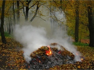 Жечь листья может «позволить» себе лишь частный сектор. Фото из архива dp.kp.ua