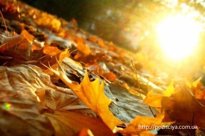 Харьковчан ожидает теплая осень. Фото: pozitciya.com.ua.