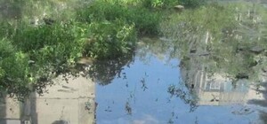 Жители Луганщины задыхаются от вони фекального 