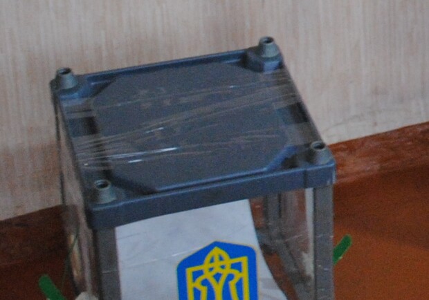 Тимошенко сможет проголосовать. Фото: Алексей Битнер.